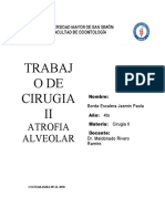 Trabajo Ciru II Atrofia Del Reborde Alveolar Borda