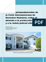 Jurisprudecia Corte IDH Proteccion Judicial