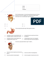 Sistem Pencernaan 12 Okt