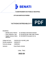 Ejemplo de Actividad Desarrollada