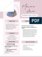 Amer Curriculum Vitae