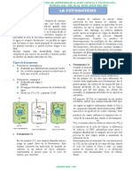 Eda 3 - Semana 13-B - Ficha de Trabajo La Fotosintesis 4to 2023