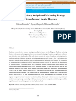 Candlenut Efficiency Analysis and Marketing Strategy USM-Solo 2016