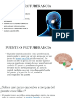 Puente o Protuberancia