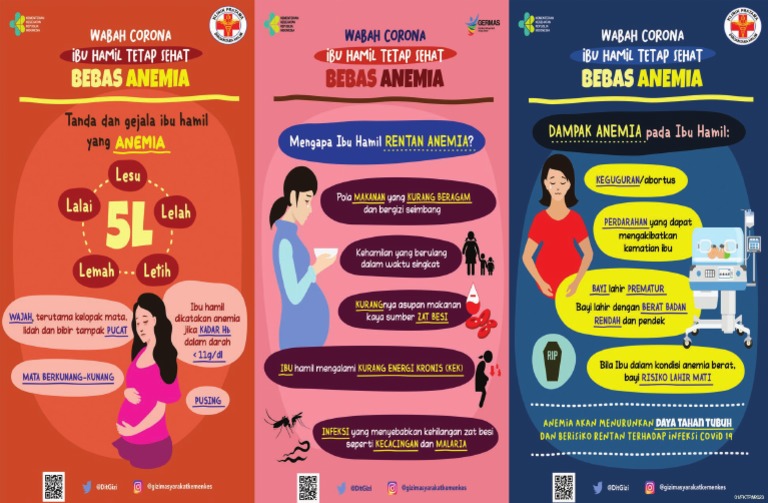 Leaflet anemia 1 (2) | PDF