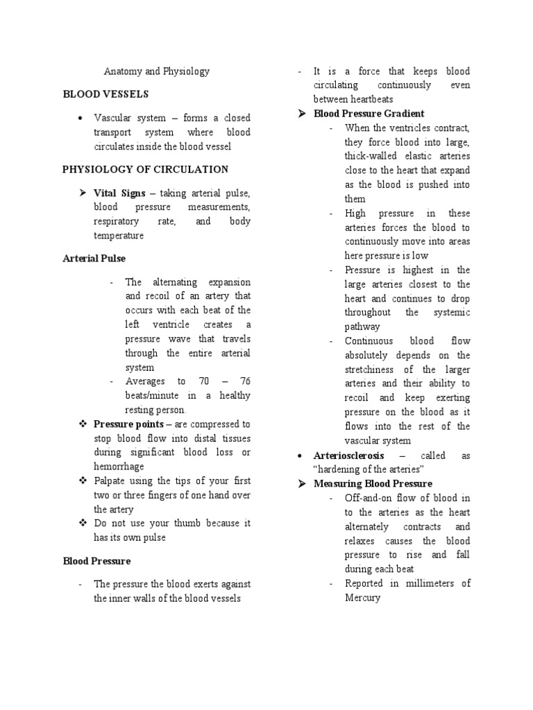 Blood Vessels Pdf Blood Pressure Artery
