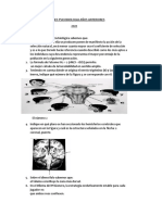 Biologia Preg - Respuesta EXAMENES