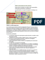 Tema 4