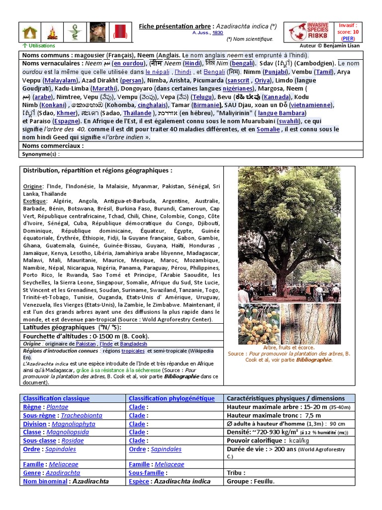Fiche Presentation Neem | PDF