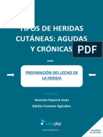 Tipos de Heridas Cutaneas - Agudas y Cronicas Isbn 978-84-16861-76-5
