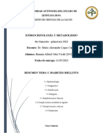 RESUMEN Endo Diabetes