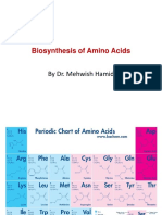 Biosynthesis of Amino Acids