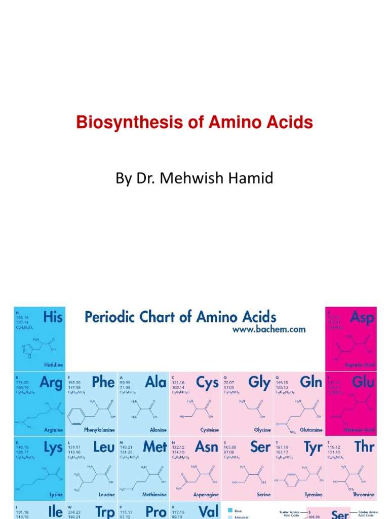 Amino Acid Biosynthesis Overview | PDF
