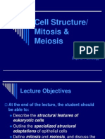 Cell Structure Mitosis and Meiosis 2007 For UPLOAD