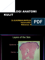 Histology of Normal Skin and Inflammatory Cells