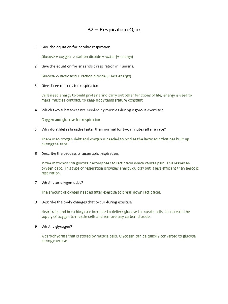 Respiration Quiz PDF