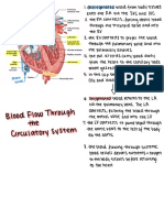 Blood Flow Through Circulatory System