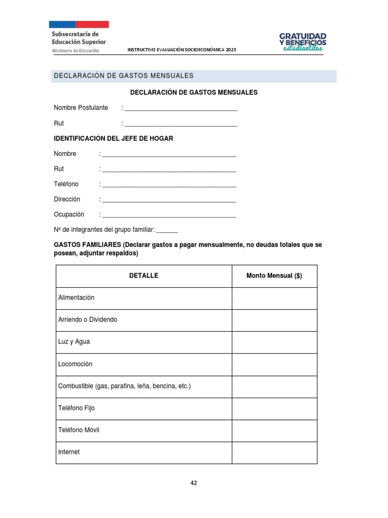 Declaración de Gastos Mensuales 2023 | PDF