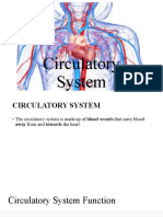 Circulatory System