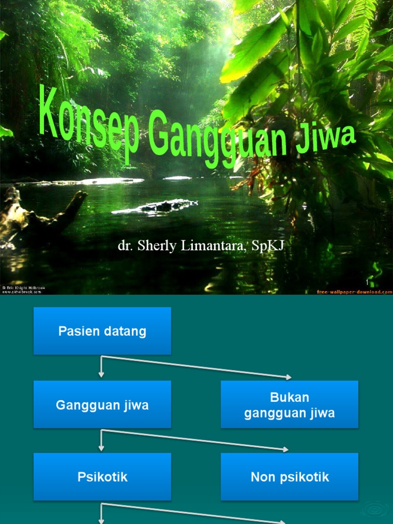 Klasifikasi Gangguan Jiwa Ppdgj Handout Pdf