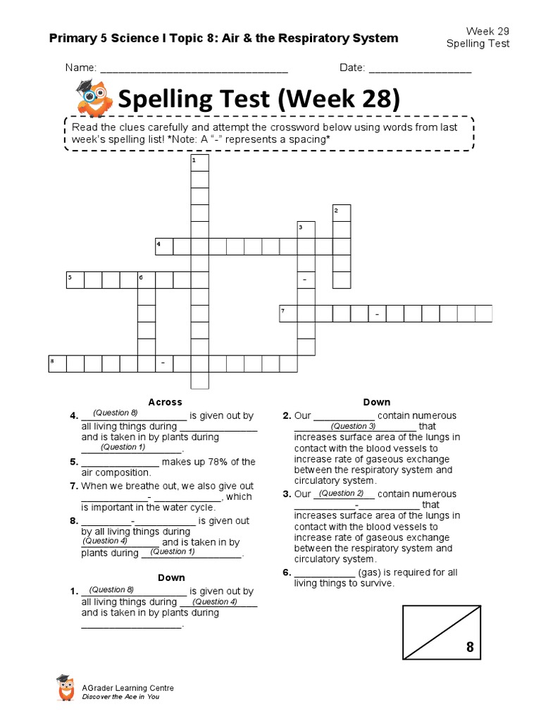 (Student) Week 29 - P5 Air &amp; Respiratory System Spelling Test | PDF ...