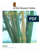 International Rice Research Notes Vol.26 No.1