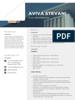 Modern Profesional Resume