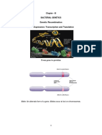 Microbiology Bacterial Genetics