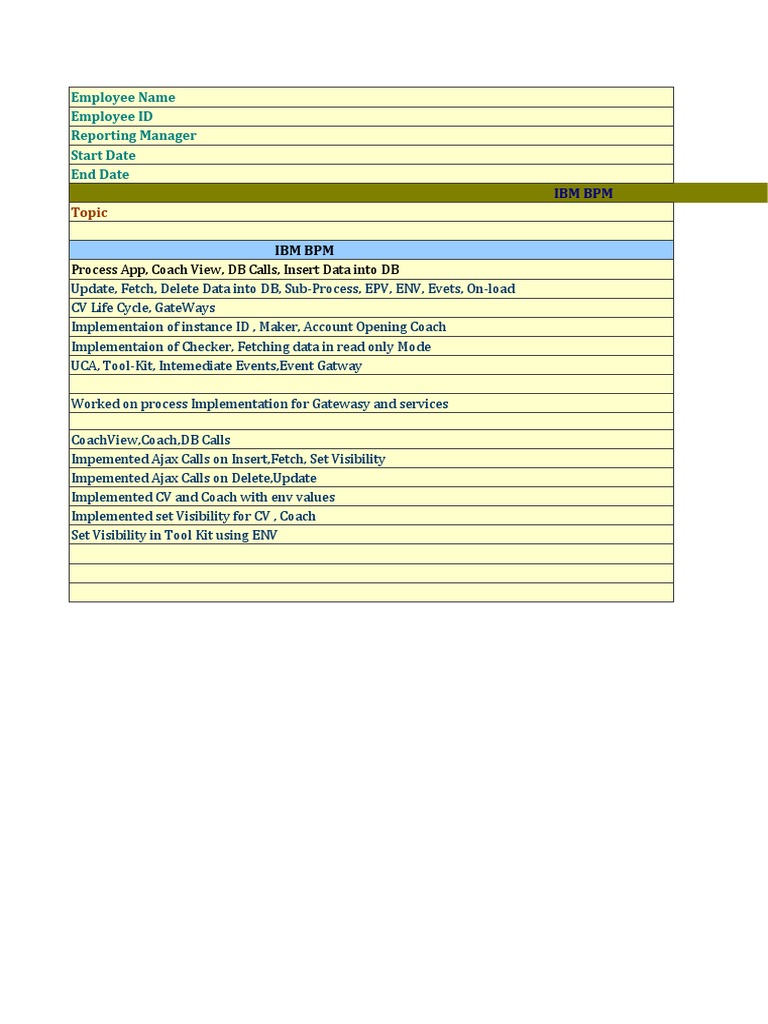IBM BPM Process Implementation Overview | PDF