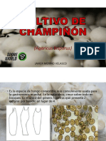 Curso Cultivo de Champiñón (Para Pequeños Productores)