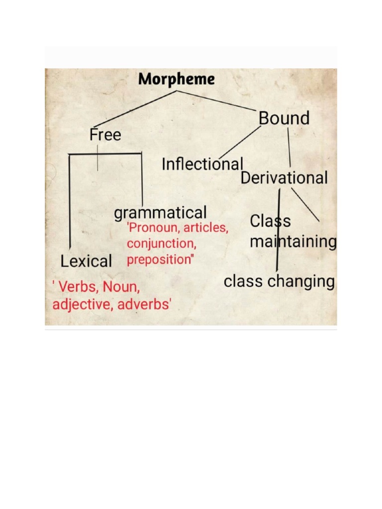 Morphology quiz 1 pdf morphology linguistics word