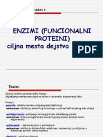 Enzimi 1