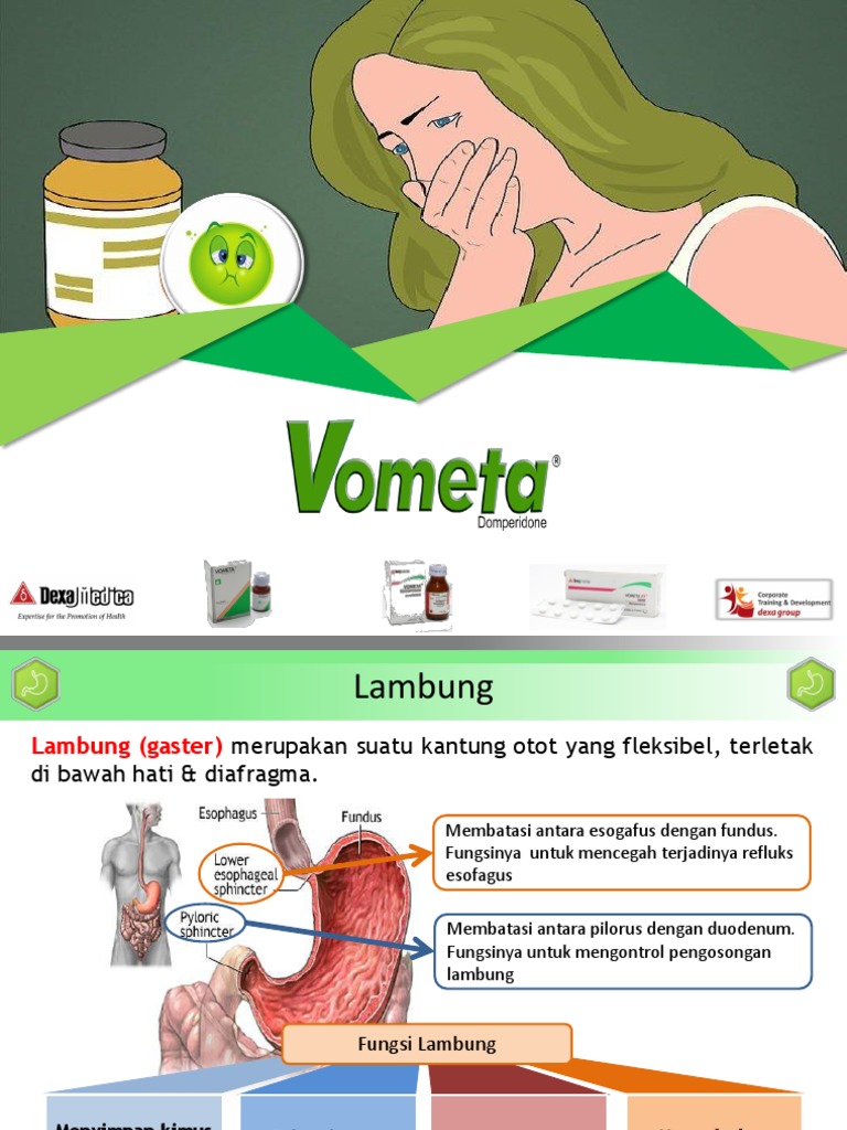 Summary BKPK-VOMETA GROUP | PDF