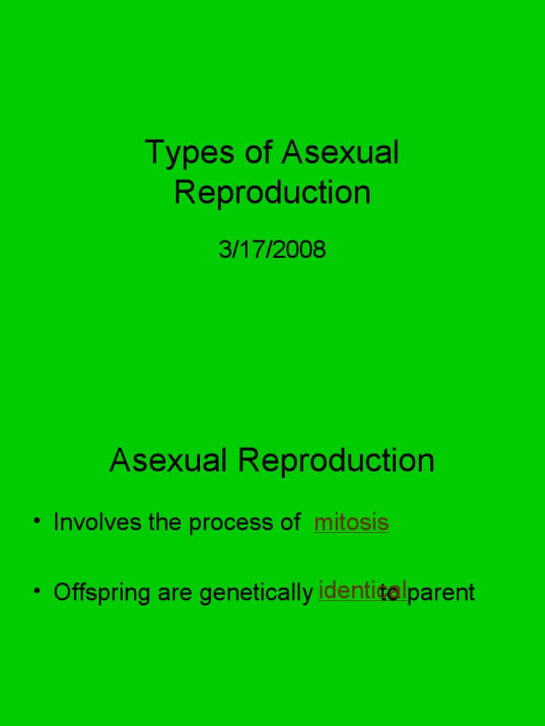 Types of Asexual Reproduction PDF