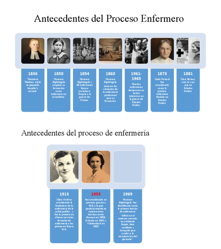 Evolución del Proceso Enfermero | PDF
