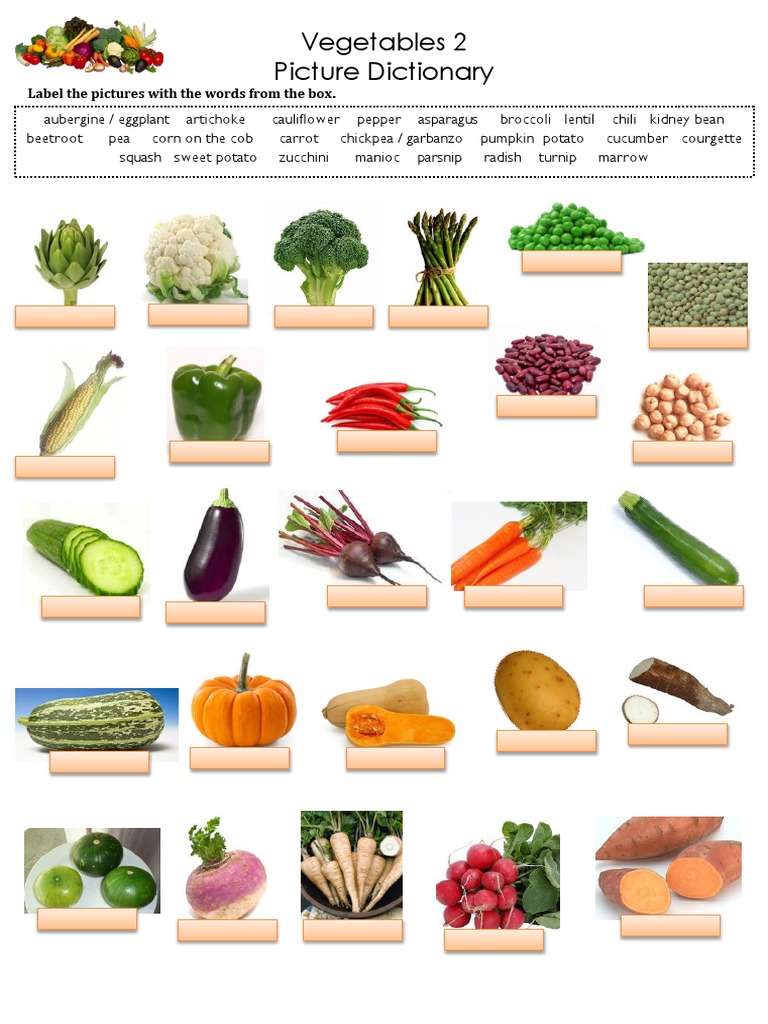 Vegetables 2 Picture Dictionary PDF
