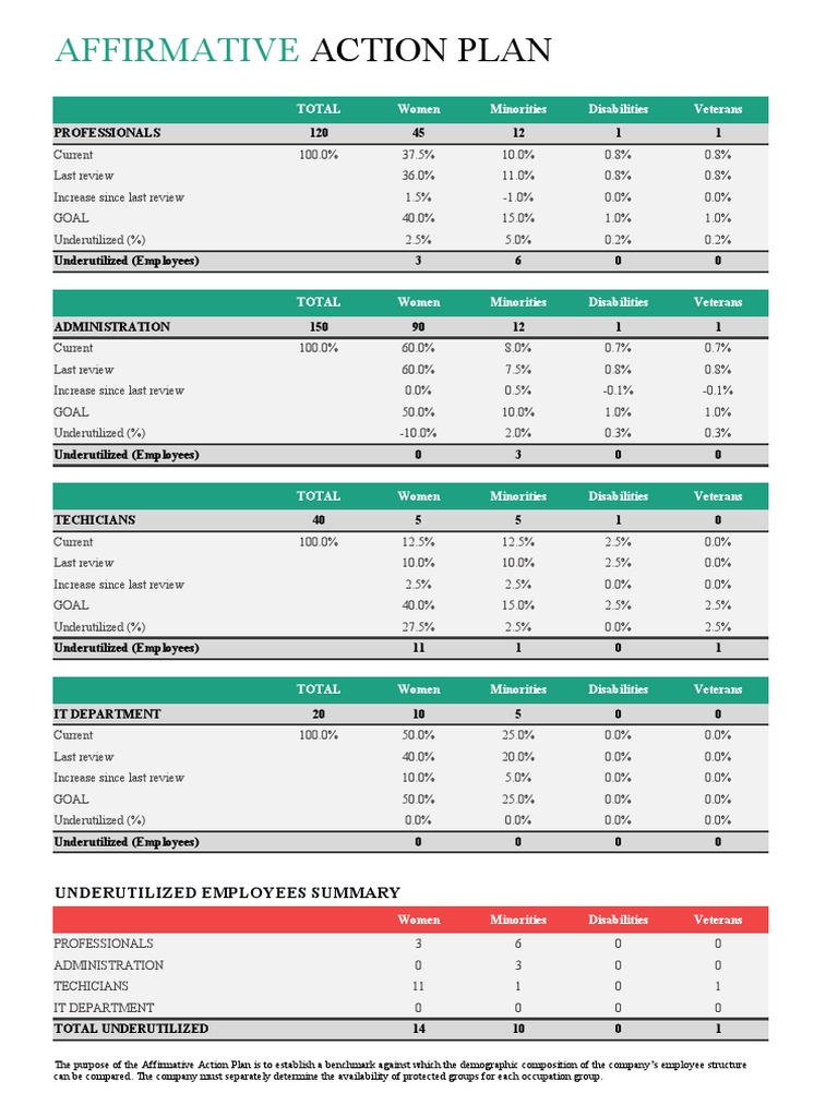 Affirmative Action Plan Overview | PDF | Anti Social Behaviour | Civil ...