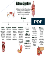 Mapa Conceptual Sistema Digestivo