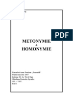 HA-Semantik-Metonymie Und Homonymie 2