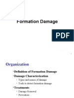 D Formation Damage