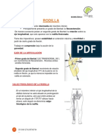 RODILLA