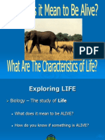 Characteristics of Life Go
