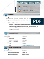 Curriculum Vitae Cristhian Estiwar Mendoza Morales