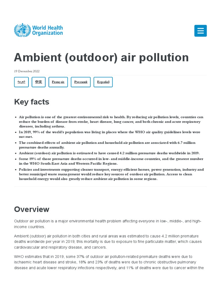 Ambient (Outdoor) Air Pollution | PDF | Air Pollution | Waste