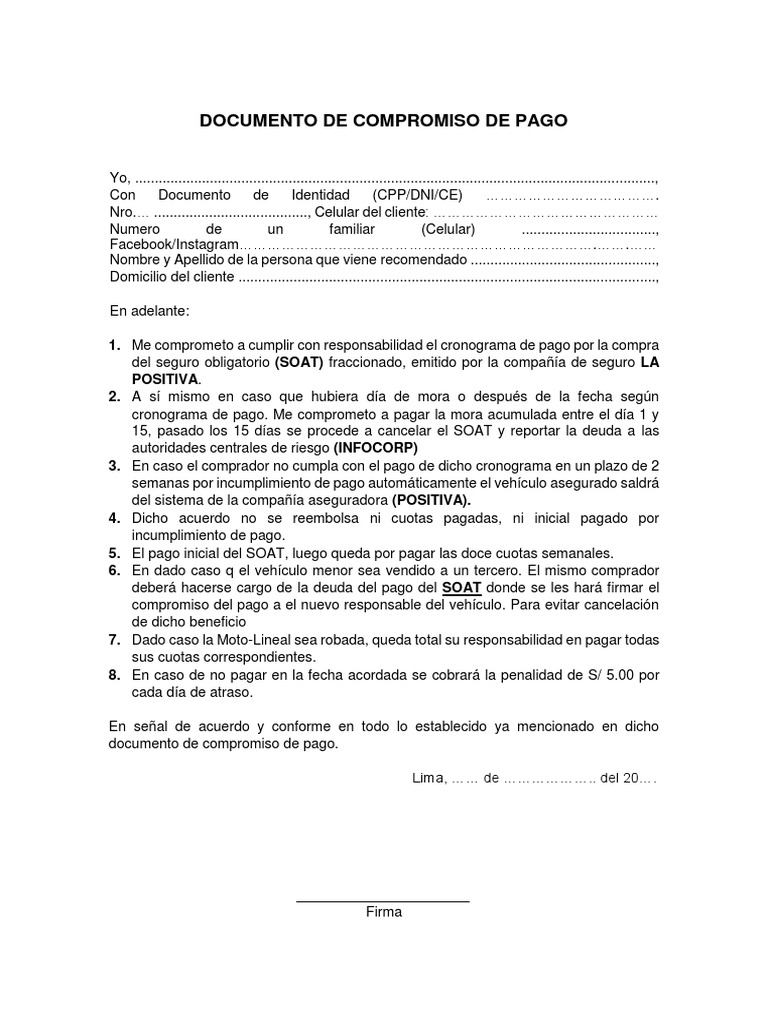 Carta de Compromiso | PDF | Negocios | Finanzas y dinero