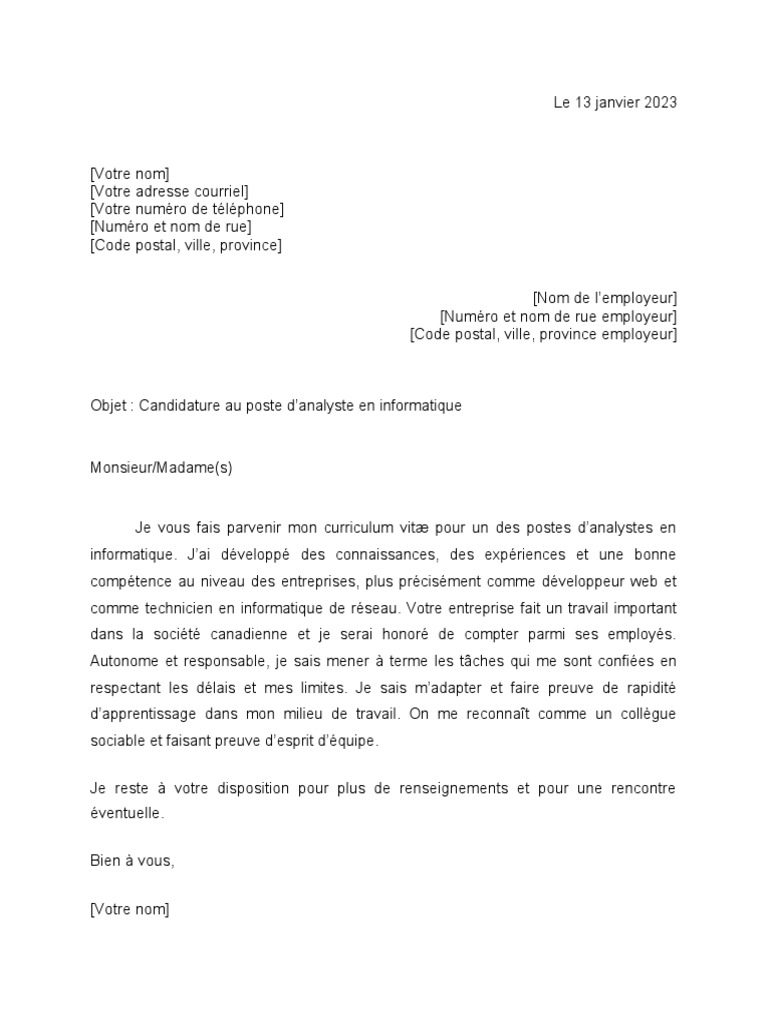 Candidature Analyste en Informatique | PDF