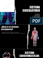 Sistema Circulatorio