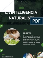 Inteligencia Naturalista