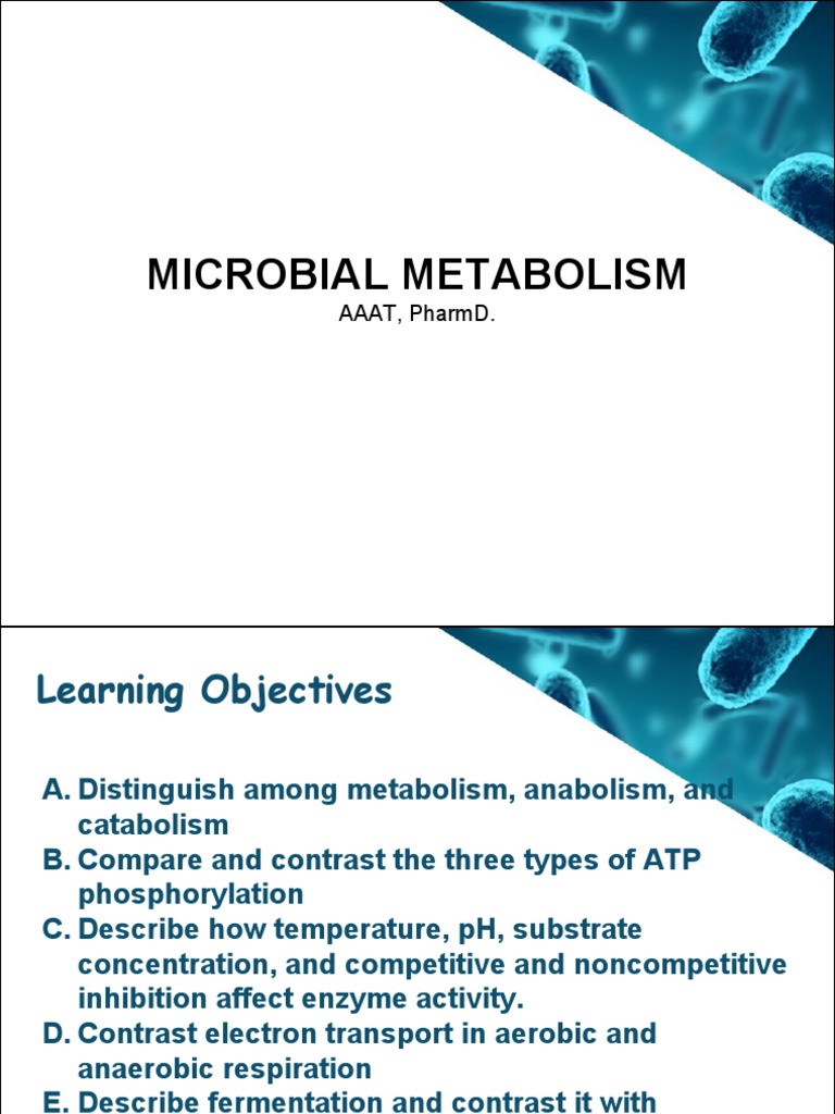 Unit 3 Microbial Metabolism | PDF | Cellular Respiration | Citric Acid