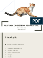 Anatomia Sistema Respiratorio